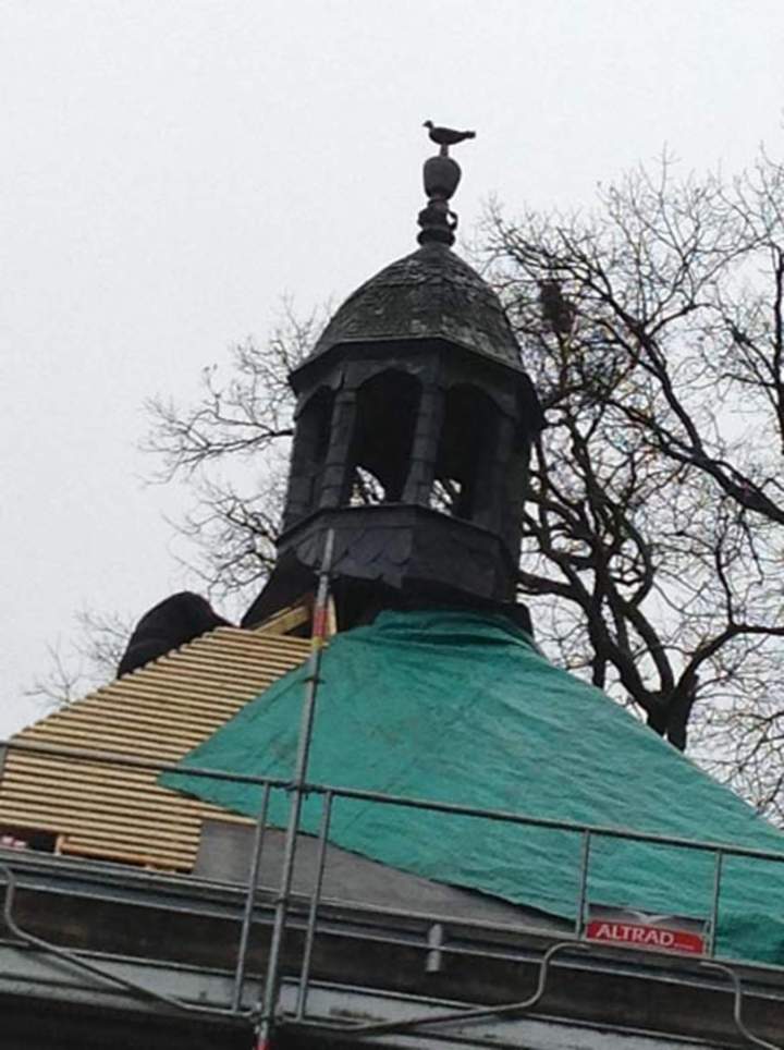 Rénovation de toiture Amboise